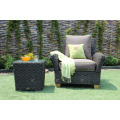 Sofá de sillón de polivinílico intemporal fijado para el jardín al aire libre